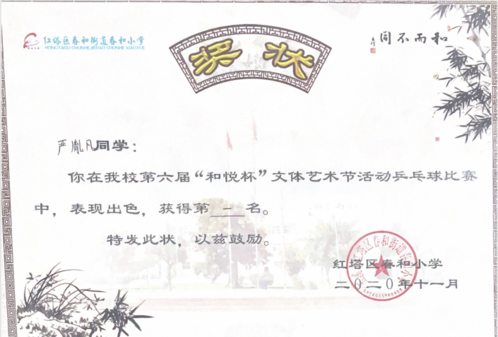 证书31